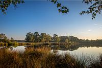 Ein Blick in die Natur von Westerwolde