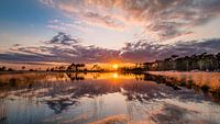 Coucher de soleil sur la Strabrechtse Heide