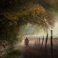 Memories of Walks in the Woods