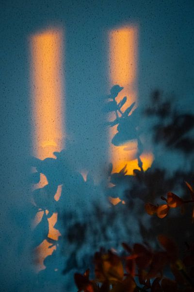 Heiß und kalt - Stillleben von Ellis Peeters