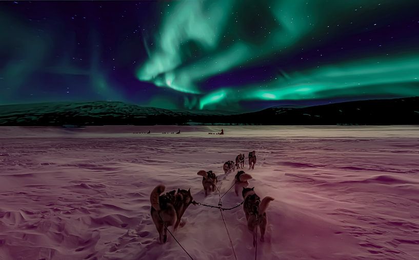 Northernlight Schneehunde von Truckpowerr