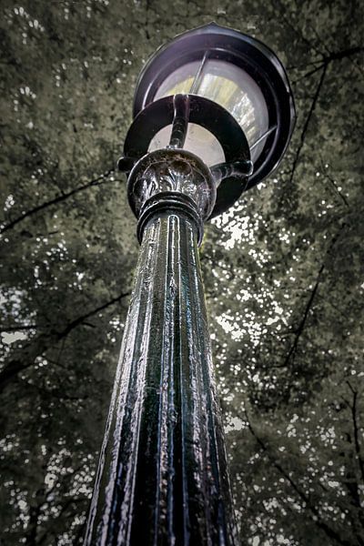 Perfekte Unvollkommenheit von Jan van der Knaap