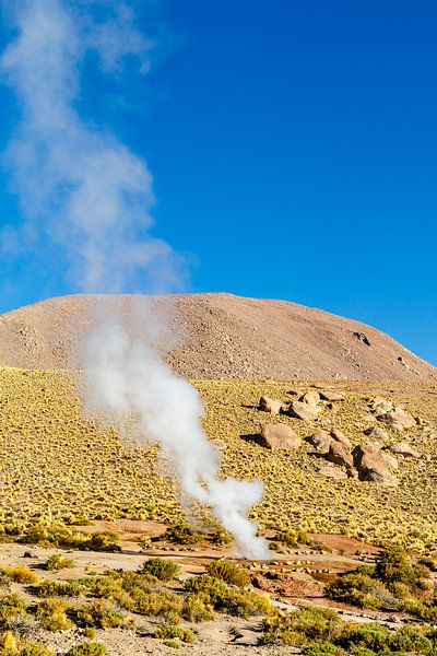Landschaft mit Geysiren von El Tatio in den Anden, Chile, Südamerika von WorldWidePhotoWeb