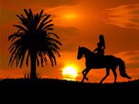 woman with horse at sunset and palm tree (Horse in Sunset)