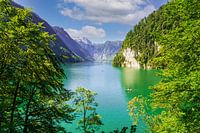 Königssee wasser