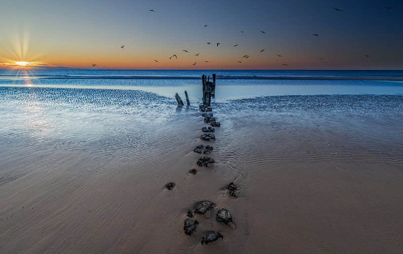 Masten am Kerf bei Sonnenuntergang von peterheinspictures