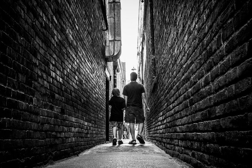 Naar het licht toe von Joris Louwes