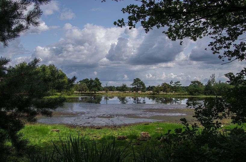 Dutch landscape by Jasper Los