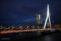 Erasmusbrücke Rotterdam