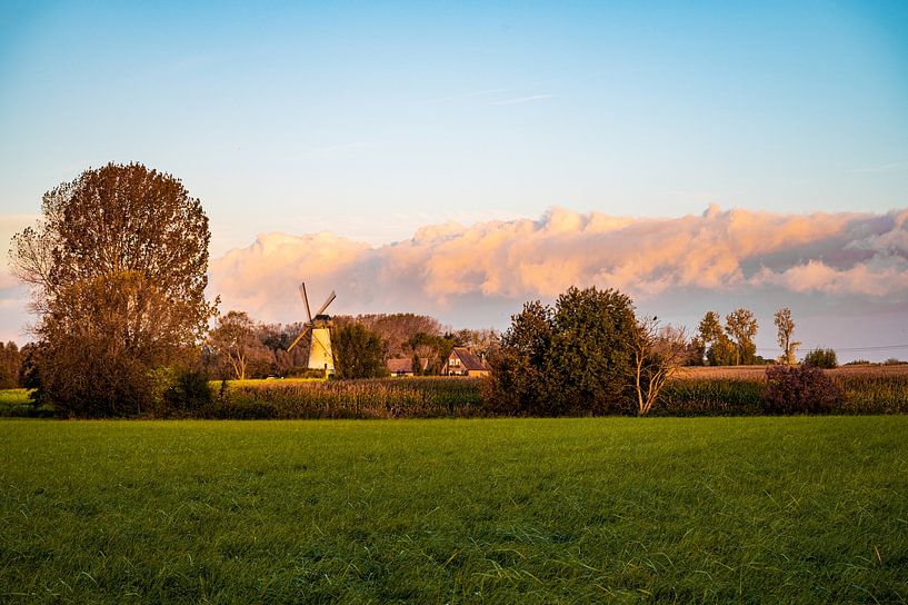 Van Vlaenderensmolen , Vinderhoute von Nico D'hont