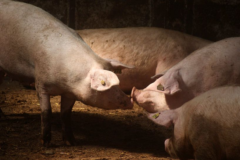 in gesprek van Marcel te Brake