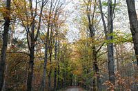 Sandkasten in Oirschot im Herbst