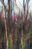 Wandern in einer Traumlandschaft