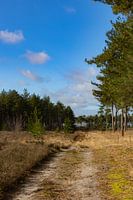 Geradeaus und dem Weg folgen