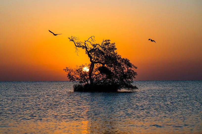 Sunrise Egypt, sunris Egypt 2 by Corrine Ponsen