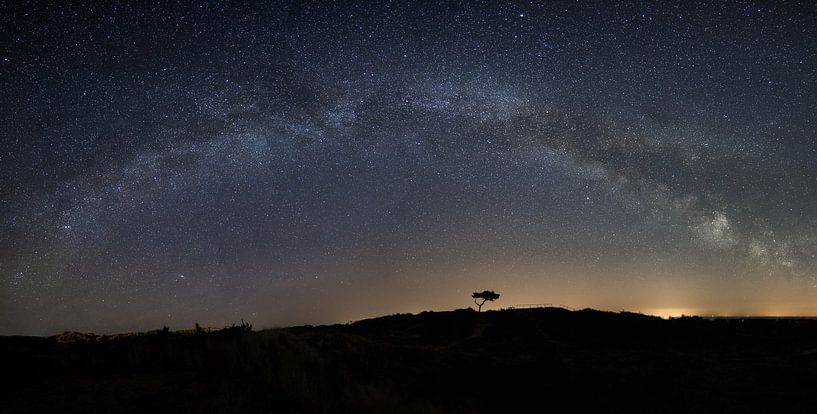 Der Milchstraßenbogen über dem einsamen Baum! von Marjolein van Roosmalen