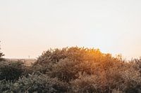 Der Leuchtturm von Ouddorp (horizontal)