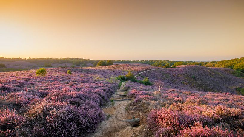 Posbank by Rob Sprenger