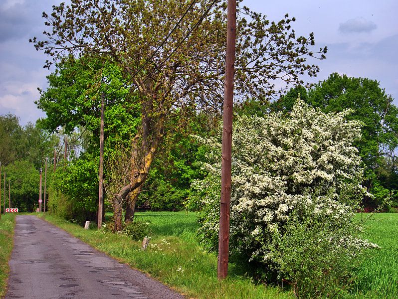 Dortmund 47 par Edgar Schermaul