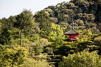Tower in the green Japanese landscape.