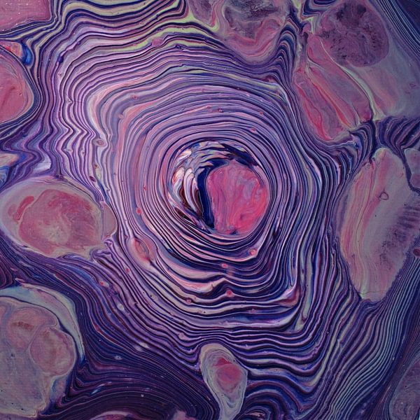 Jahre von Angelique van 't Riet