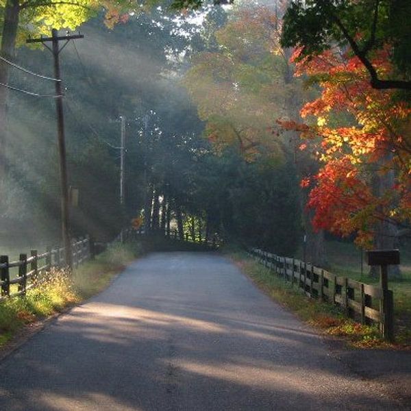Country Road von David Hofhuis