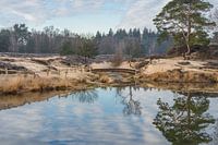 Brücke in Groot Heidestein
