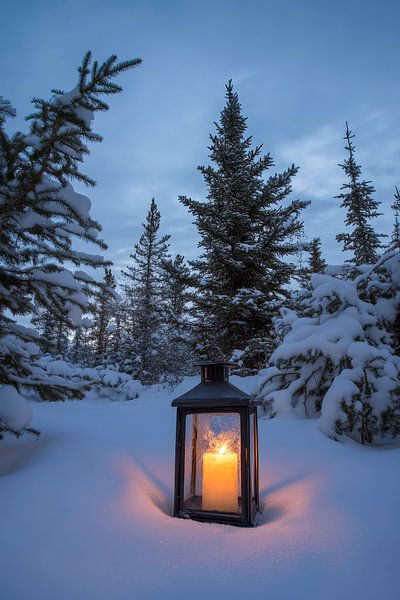 Winterliches Lichtspiel von Poster Art Shop