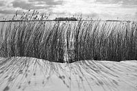 Winterstrand Veluwemeer