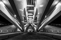 City of Arts and Sciences (Valencia) 