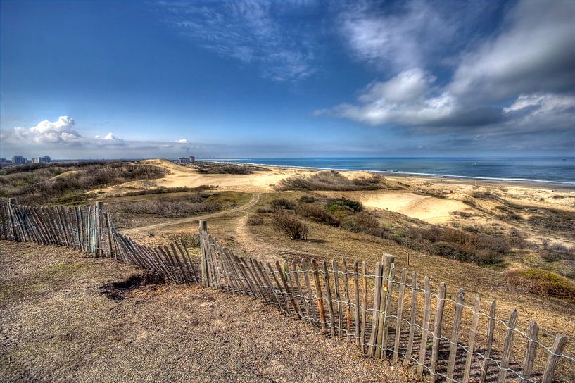Duin landschap par Jan Kranendonk