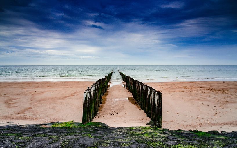 Zoutelande Pfahlköpfe von Ed van der Hilst