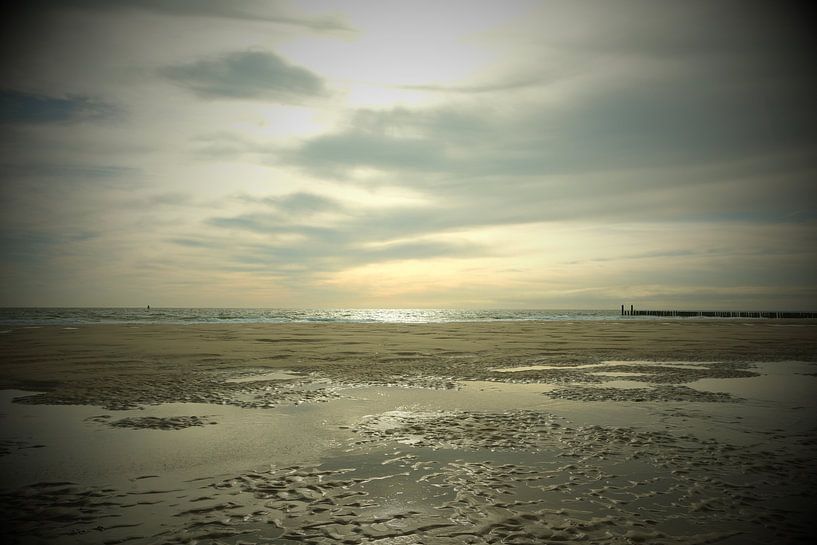 Goldene Stunde von Wendy van Cuijk