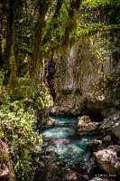 Natürliche Quelle der Ruhe