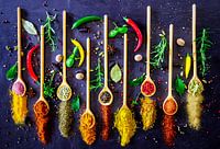 Kräuter und Gewürze auf Holzlöffel