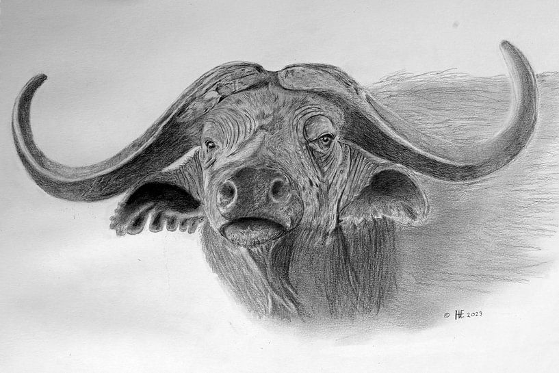 Büffel von Henks Art