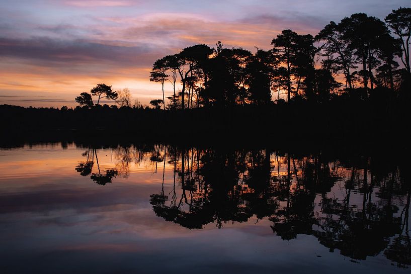 The rising sun at the Oisterwijkse Bossen en Vennen by Kirsten - Where She Goes