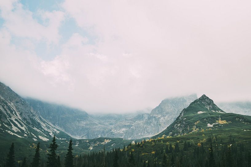 Grüne Berge im Nebel von Patrycja Polechonska