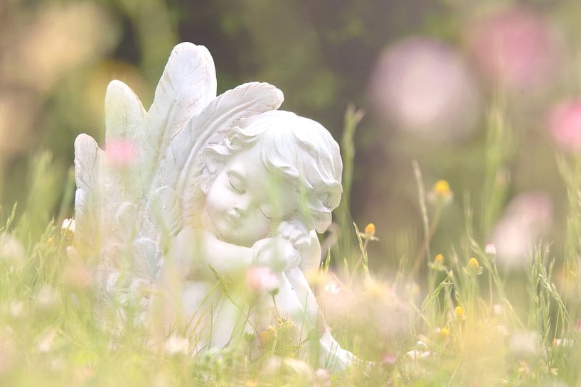 Wenn Engel Träumen von Tanja Riedel