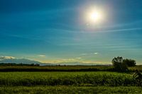 Pyrénées, Canet-en-Roussilon