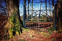 De stilte achter het hek 