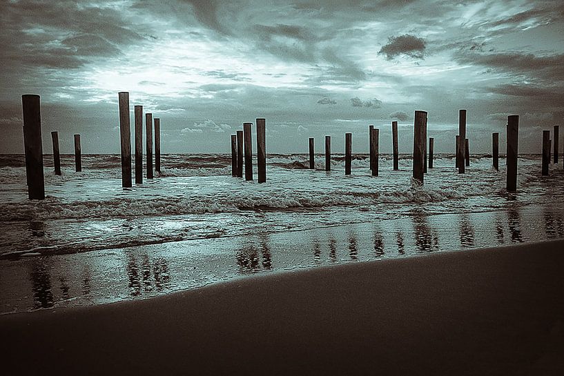 Hats Palendorp wild sea by Evelien van der Horst