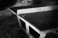 Real Life Still life of table tennis table in setting sun