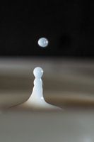 Wassertropfen in einer Tasse Milch