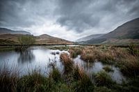 The Scottish wilderness