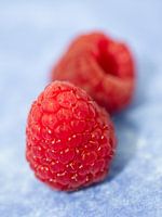 Frische rote Himbeeren auf Blau