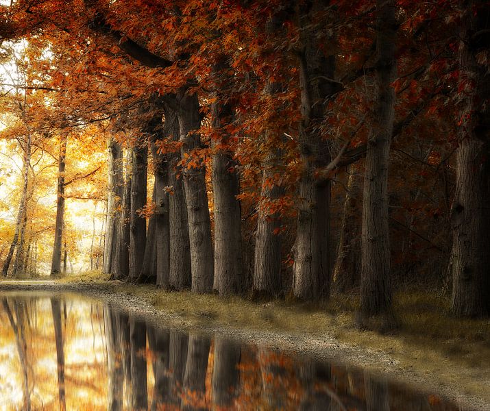 Hold On To Your Friends by Kees van Dongen