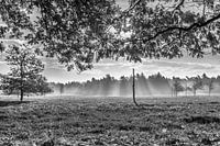 Totem solitaire monochrome