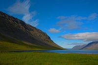 Mountains flow to the sea