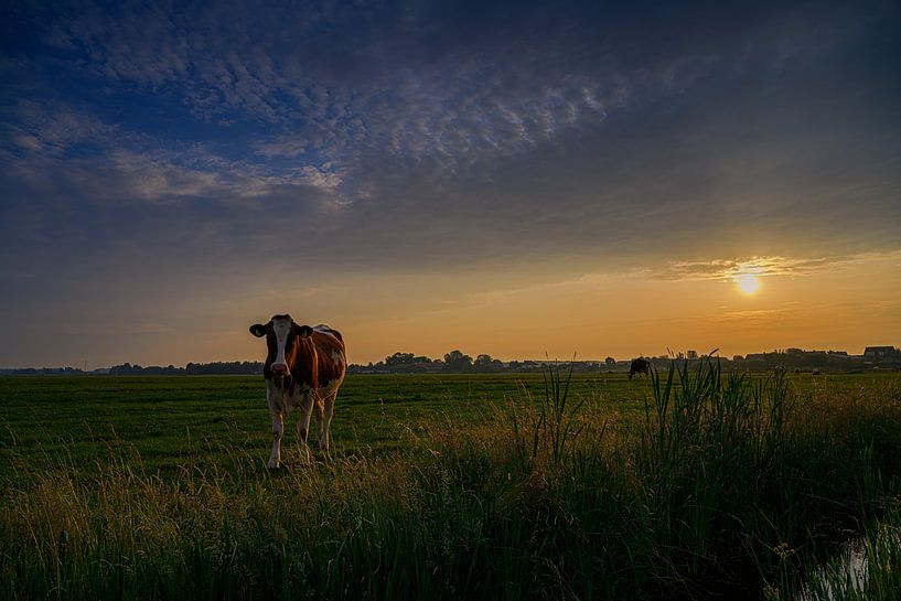 Sonnenuntergang auf der Wiese von Jos Krick Photography